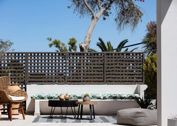 Artemisia * Ханья