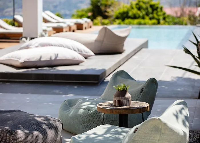 Artemisia * 干尼亞